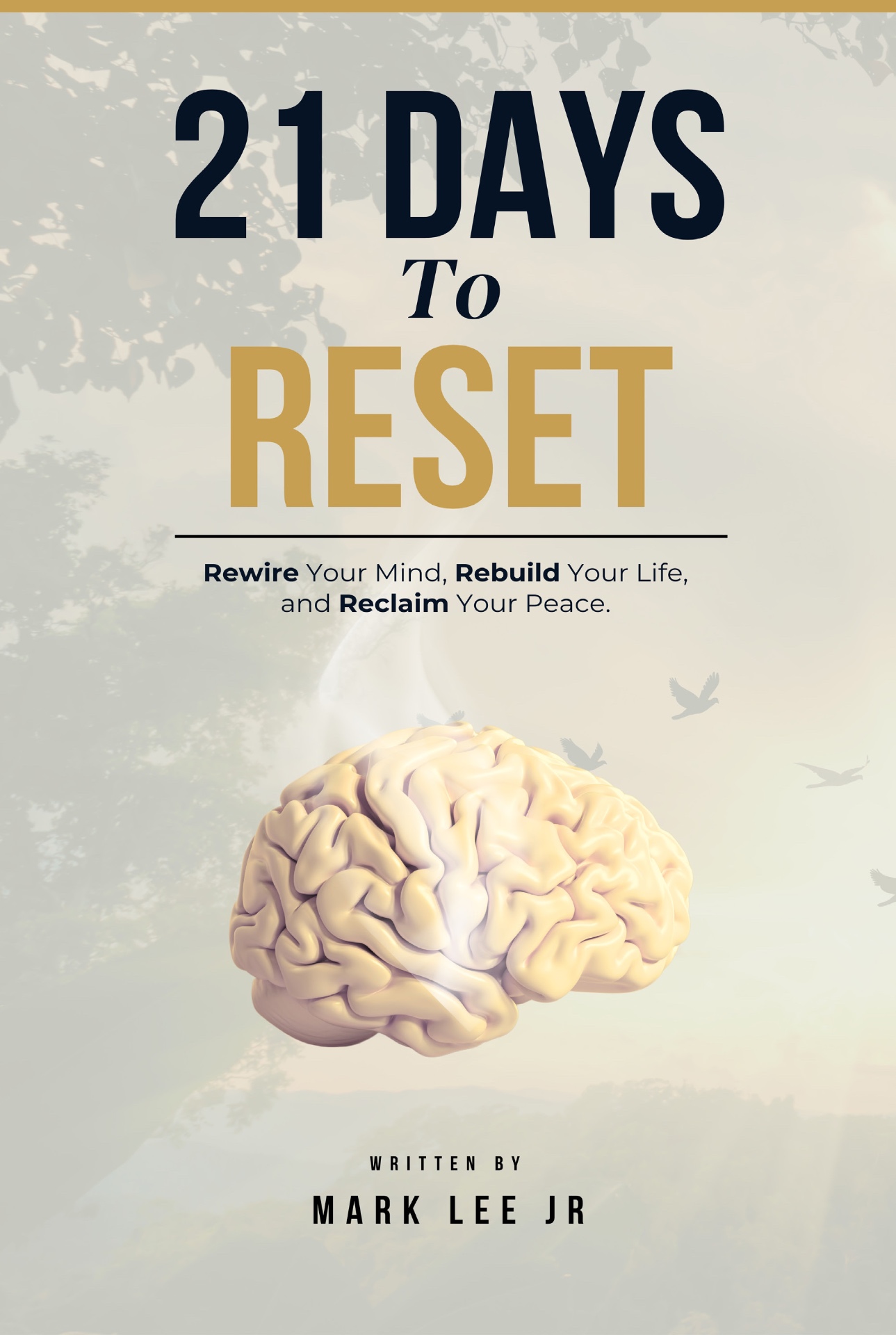 21 Days to Reset book cover by Mark Lee Jr.
